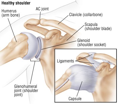 Shoulder Dislocation