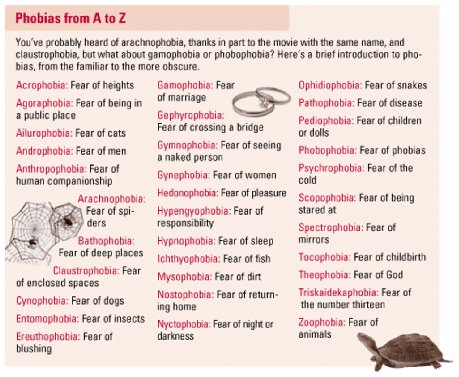 The Common Types Of Phobias