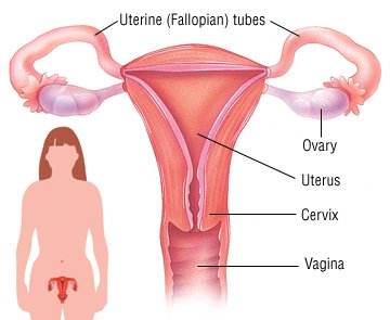 Cervical torticollis cervical decompression