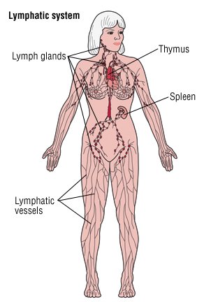Breast Cancer And Lymphedema Symptoms Treatment