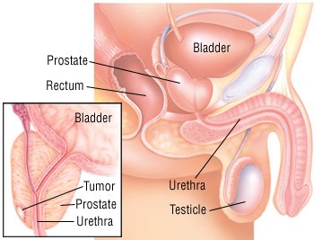 what does tamsulosin do for your prostate