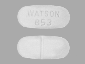 acetaminophen hydrocodone bitartrate watson 853