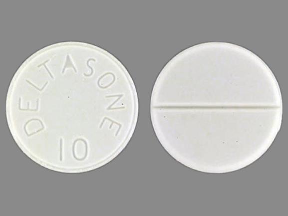 DELTASONE 10 Pill Images (White / Round)