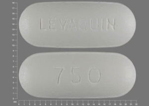 drug levaquin side effects