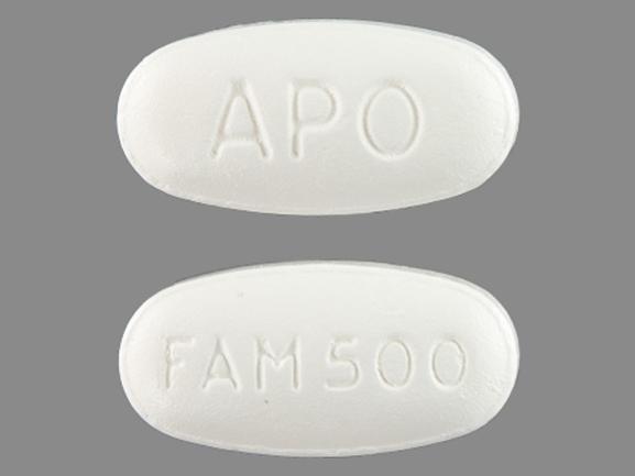 famvir 500 mg dosage