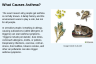 What Causes Asthma? What Causes Asthma?