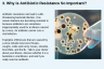 3. Why is Antibiotic Resistance So Important? 3. Why is Antibiotic Resistance So Important?