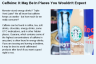 Caffeine: It May Be In Places You Wouldn't Expect Caffeine: It May Be In Places You Wouldn't Expect