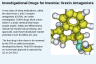 Investigational Drugs for Insomia: Orexin Antagonists Investigational Drugs for Insomia: Orexin Antagonists