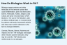 How Do Biologics Work in RA? How Do Biologics Work in RA?