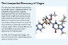 The Unexpected Discovery of Viagra