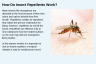 How Do Insect Repellents Work?