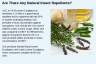 Are There Any Natural Insect Repellents?