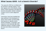 What Causes ADHD - Is It a Genetic Disorder? What Causes ADHD - Is It a Genetic Disorder?