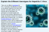 Explain the Different Genotypes for Hepatitis C Virus