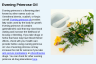 Evening Primrose Oil Evening Primrose Oil