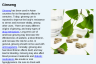 Ginseng Ginseng