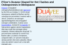 Pfizer’s Duavee Okayed for Hot Flashes and Osteoporosis in Menopause Pfizer’s Duavee Okayed for Hot Flashes and Osteoporosis in Menopause