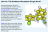 How Do The Nonbenzodiazepines Drugs Work? How Do The Nonbenzodiazepines Drugs Work?