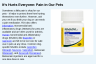 It's Hurts Everyone: Pain in Our Pets