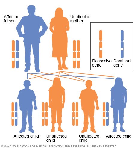 dominant needs Dominant alleles show their effect even if the individual only has one copy of the allele (also known as being heterozygous) for example, the allele for brown eyes is dominant, therefore you only need one copy of the 'brown eye' allele to have brown eyes (although, with two copies you will still have brown eyes). dominant needs Dominant alleles show their effect even if the individual only has one copy of the allele (also known as being heterozygous) for example, the allele for brown eyes is dominant, therefore you only need one copy of the 'brown eye' allele to have brown eyes (although, with two copies you will still have brown eyes).