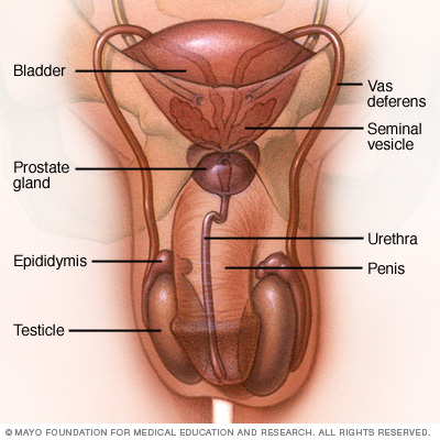 Low testosterone treatment side effects