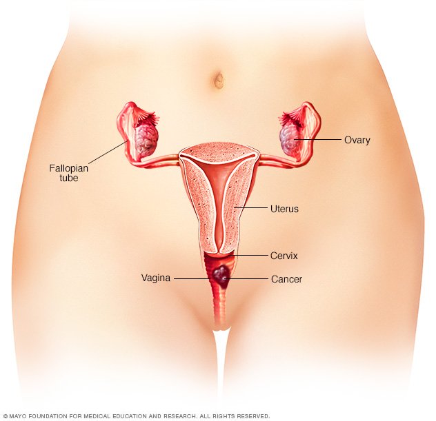 hidden teen sex cam live vagina guide