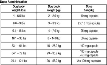 tramadol for dogs dosing tank