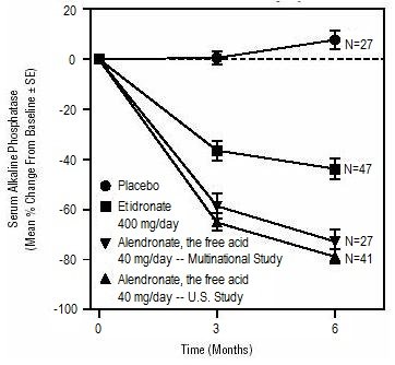 Boniva Vs Alendronate Sodium