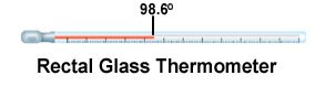 Picture of glass rectal thermometer