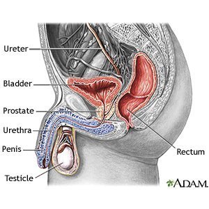 A prostatitis férfiakban történik)