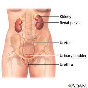 Is it normal to have blood in your urine if you have a UTI?