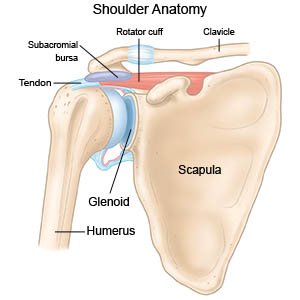 Rotator Cuff Injury - What You Need to Know