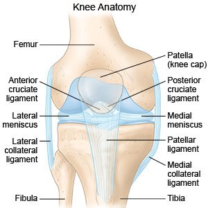 Posterior Cruciate Ligament Injury - What You Need to Know