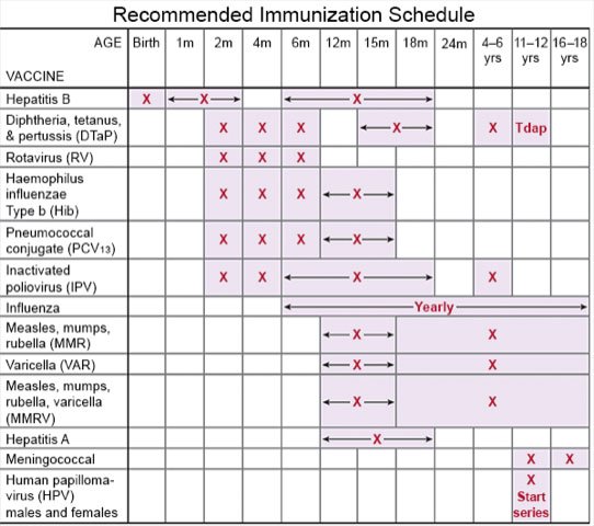 Recommended Immunization Schedule 2022