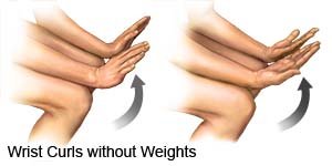 Wrist Curls Without Weights 