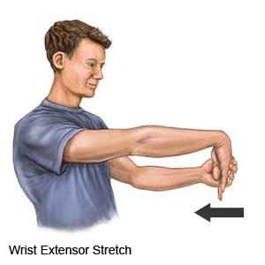 Wrist Extensor Stretch 