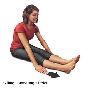 Sitting Hamstring Stretch