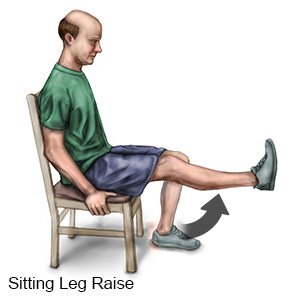 Sitting Leg Raise