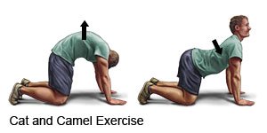 Cat and Camel Exercise