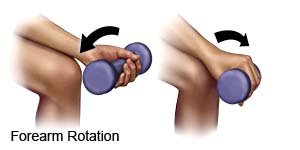 Forearm Rotation