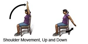 Shoulder Movement Up and Down