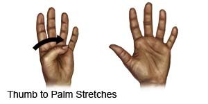 Thumb to Palm Stretches