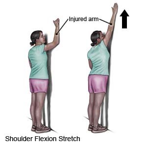 Shoulder Flexion Stretch