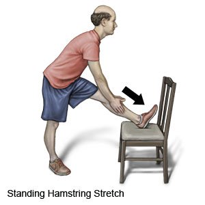 Standing Hamstring Stretch