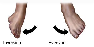 Inversion and Eversion 