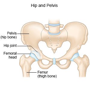 dislocated leg symptoms