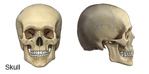 Skull Fracture: What It Is, Causes, Symptoms, Types & Treatments