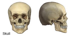 Facial Fracture What You Need To Know