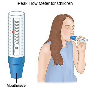 Peak Flow Meter